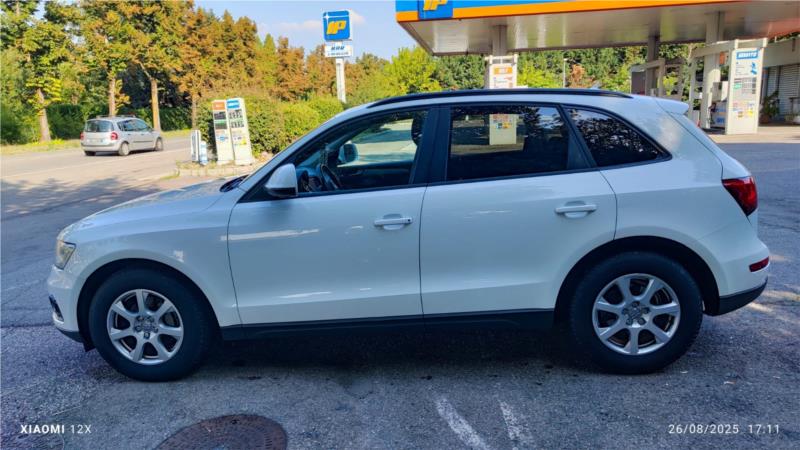 AUDI, Q5 2.0 tdi Business 143cv OK NEOPATENTATO