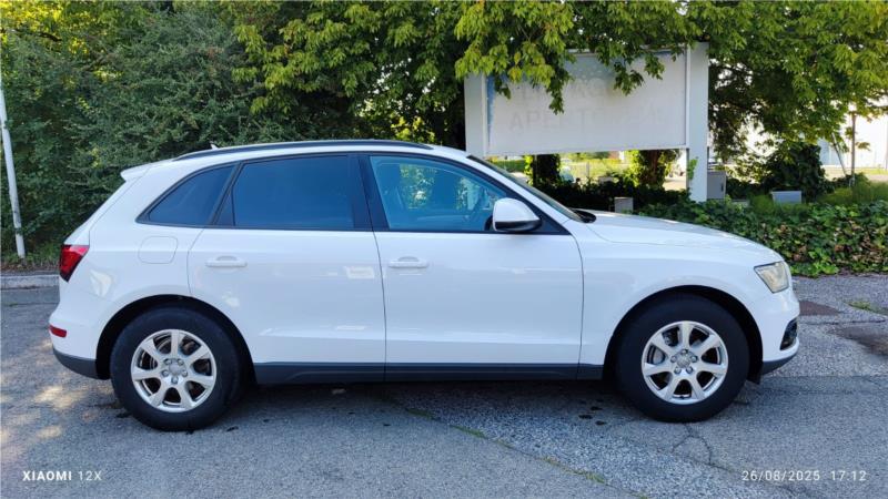 AUDI, Q5 2.0 tdi Business 143cv OK NEOPATENTATO