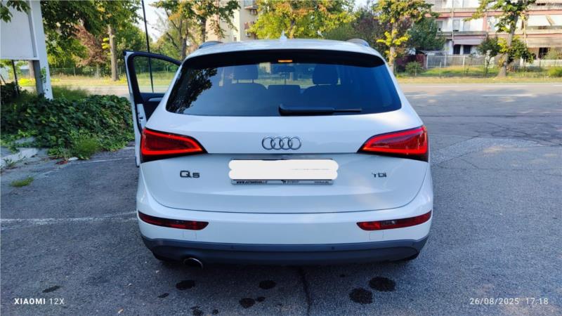 AUDI, Q5 2.0 tdi Business 143cv OK NEOPATENTATO