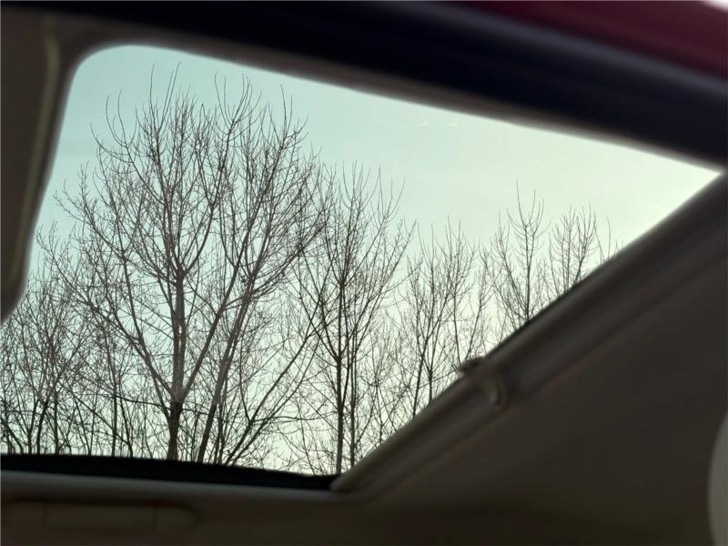 FIAT, 500 1.2 Lounge 69cv OK NEOPATENTATO