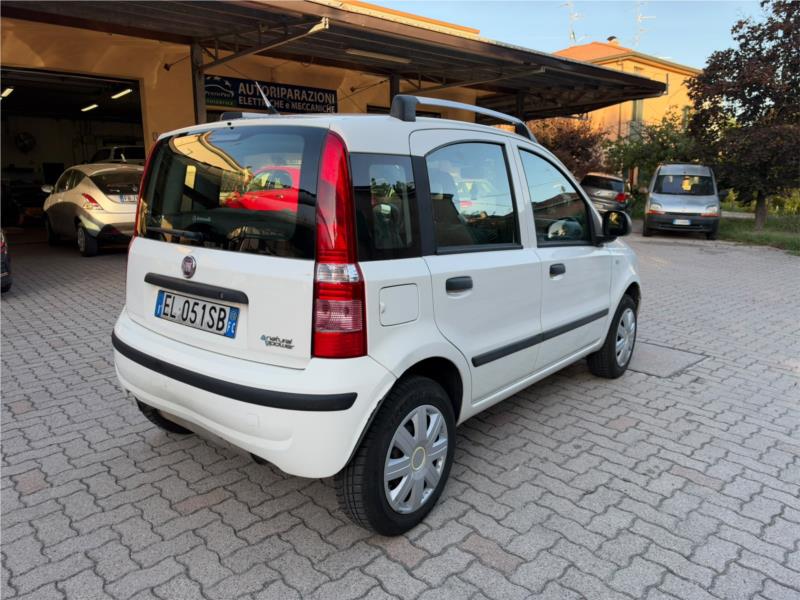 FIAT , PANDA 
