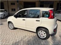 FIAT, PANDA TwinAir  Natural Power Lounge OK NEOPATENTATO