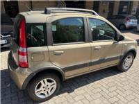 FIAT, 1.2 Climbing Natural Power OK NEOPATENTATO