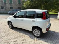 FIAT, PANDA 0.9 TwinAir Turbo Natural Power OK NEOPATENTATO