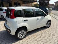 FIAT, PANDA 0.9 TwinAir Turbo Natural Power OK NEOPATENTATO