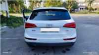 AUDI, Q5 2.0 tdi Business 143cv OK NEOPATENTATO