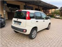 FIAT , PANDA 0.9 t.air t. natural power 80cv E6 OK NEOPATENTATO